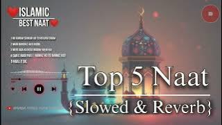 Top 5 Naat [Slowed Reverb] _ Heart Touching _ Relaxing Beautiful naat sharif #top5naat #naatsharif