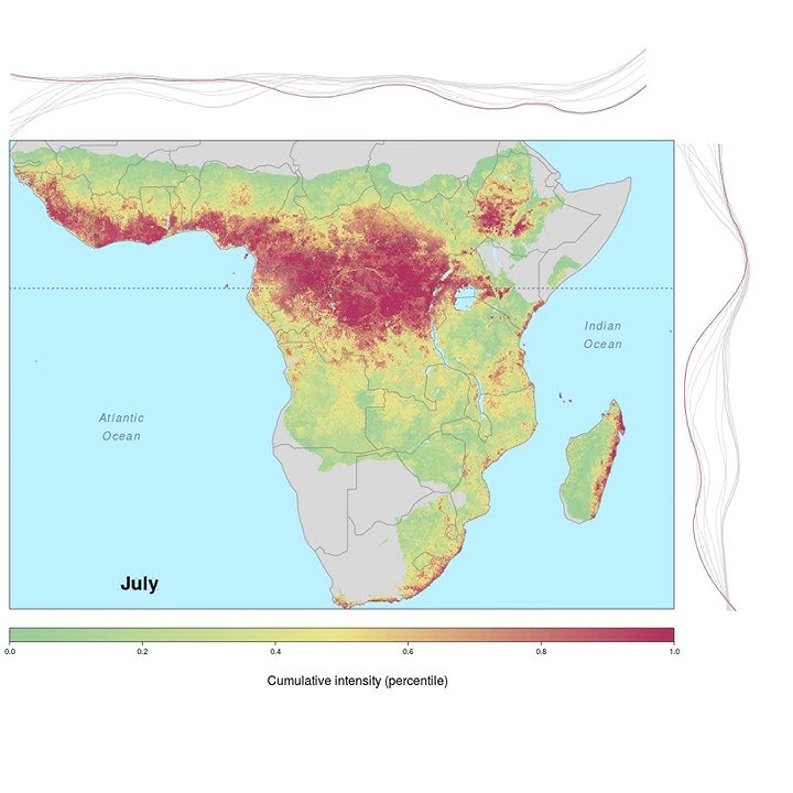 Fluctuations /Triggers: Ebola Virus Spillover