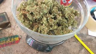 Взвешивание Super Strain Auto House of the Amnesia от Мария Любит Хуана #superstrain #взвешивание