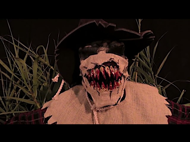 Awesome Scarecrow Halloween Costume Ideas 3 sddefault
