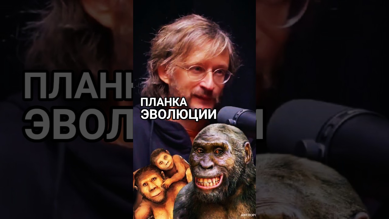 Планка эволюции человека. Генная инженерия спасет? 🧬 #наука #эволюция #дробышевский #антропология