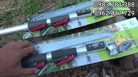 Kéo cắt cành trên cao hàng đài loan mẫu Hàn Quốc 4m và 5m I Dụng cụ nông nghiệp