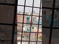 mausam #mausam #viralvideo #youtubeshorts #shortvideo #funny #foryou #song #live #music