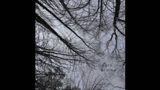 Bark - Brame