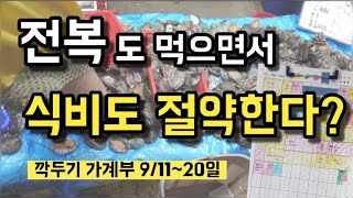 가계부 쓰는법, 건강까지 챙기는 식비절약노하우, 깍두기 가계부 9/11~20