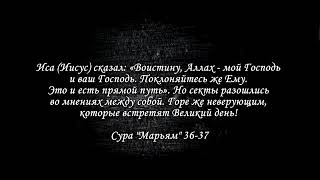 сура: Аль-Имран аяты:33-66 чтец: Саид Дубаха