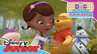 Doc McStuffins: Toy Hospital - Into the Hundred Acre Wood Trailer