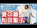 【懐メロダイエット】松田聖子「夏の扉」【全身運動】