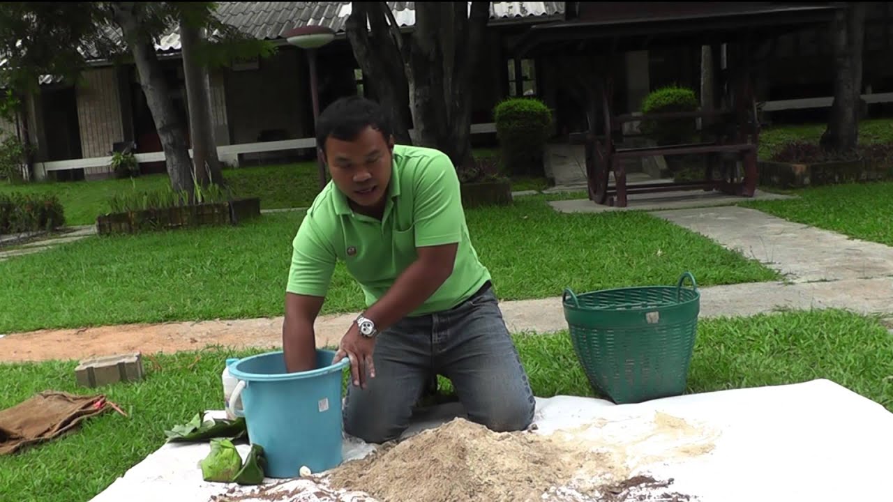 วิธีทำหัวเชื้อเบญจคุณ  หัวเชื้อจุลินทรีย์ประสิทธิภาพสูง