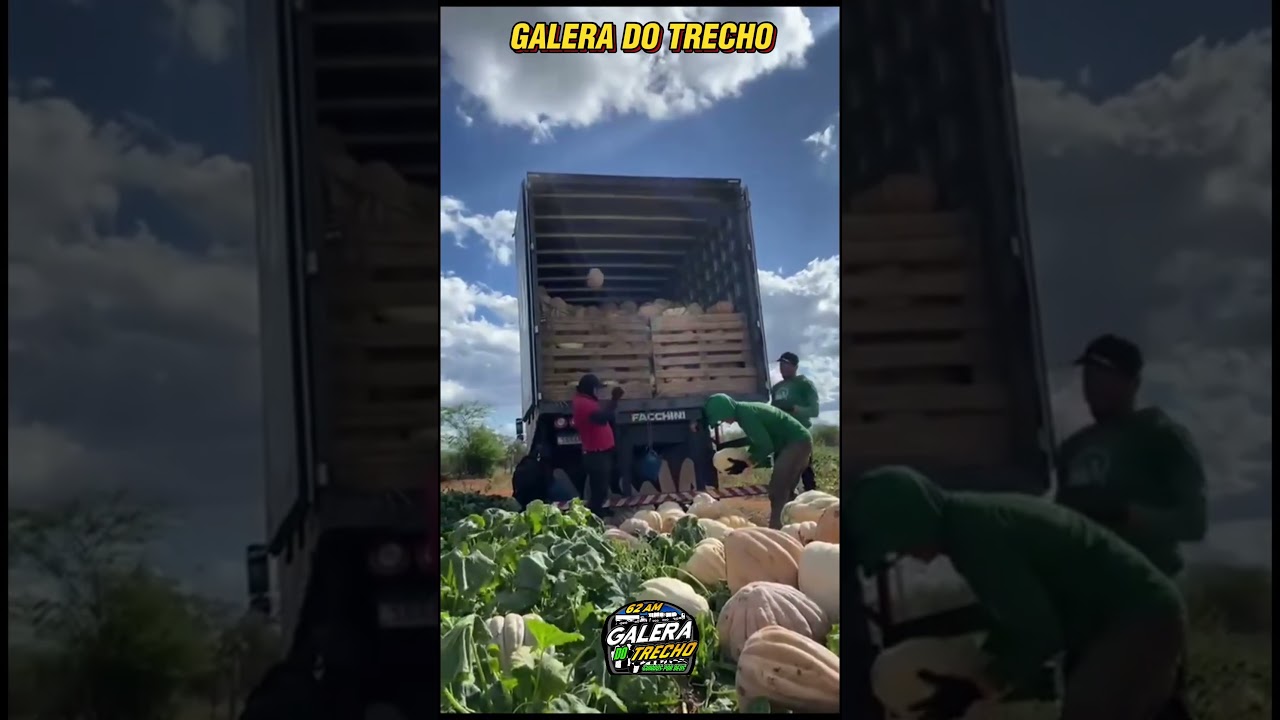 O Batata não perde viagem não😂