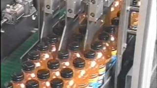 Details Hot-Fill PET Bottle Case Packing | Fibre King WAP25 Case Packer Guide