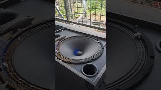 12-Inch Bass Outdoor Test Seeing the Sound with Glitter #tvrepair #dj #bass