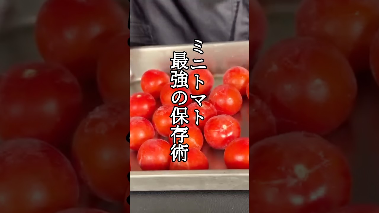 ミニトマトの保存の正解はこれ#shorts #料理 #ミニトマト保存方法 #パパの三ツ星おうちごはん