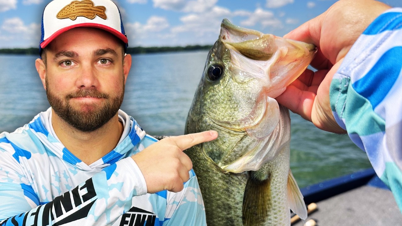 Catch More BASS With This Trick I Learned Yesterday