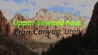🥾🏞️  Upper Emerald Pools - Zion Canyon 🥾🏞️