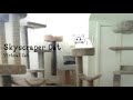 【VCDR-0004】Virtual Cat / Skyscraper Cat