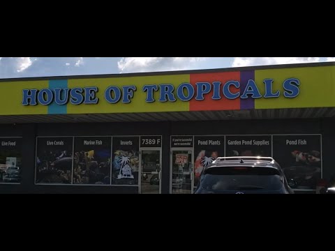 Trip To "House Of Tropicals" Fish Store In Glen Burnie, Maryland