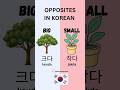 “Do you know learning opposites can double your vocabulary? 🇰🇷”#explorepage#coreano#coréen#korean