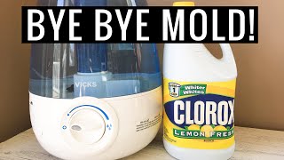 How to DISINFECT a Humidifier With Bleach | Andrea Jean