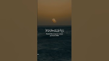 ولا تطع الكافرين والمنافقين|سورة الأحزاب محمد عمران مقام الكرد  #قرآن  #المنشاوي  #اكسبلور