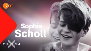 Die 5 Gesichter der Sophie Scholl | Terra X