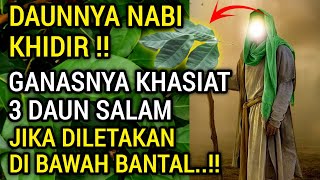 SILAHKAN TES‼️Keajaiban Meletakan 3 Daun Salam Di Bawah Bantal Dalam Dunia Spiritual ..