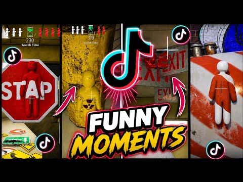 🫟MECCHA CHAMELEON FUNNIEST 😶‍🌫️🤣 COMPILATION TIKTOK🫟 /MOMENTOS 🤣 🌱