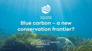 Full Conference: Blue Carbon - A new conservation frontier?