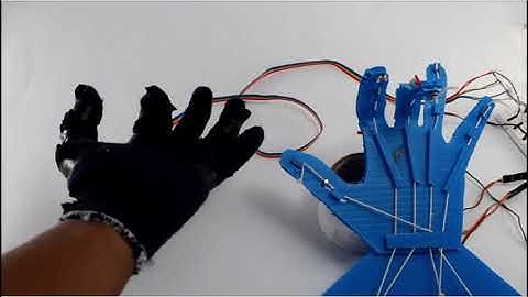 Animatronic Hand-Project Assignment for Skyfi Labs Online Course by Patience Yeboah