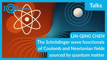 LIN-QING CHEN: The Schrödinger wave functionals of Coulomb and Newtonian fields