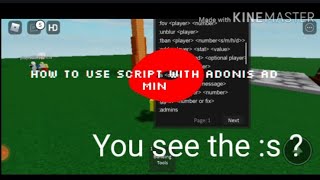 How to use script with Adonis admin