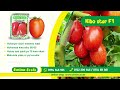 Simlaw Seeds Tomato Kibo Star F1