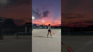IMG 8277