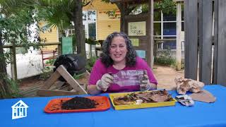 Composting at Home - Educator Moment