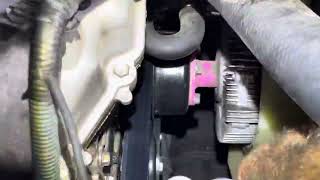 O Rileys Auto Parts water pump 6 months old Ms Gay Jiggs