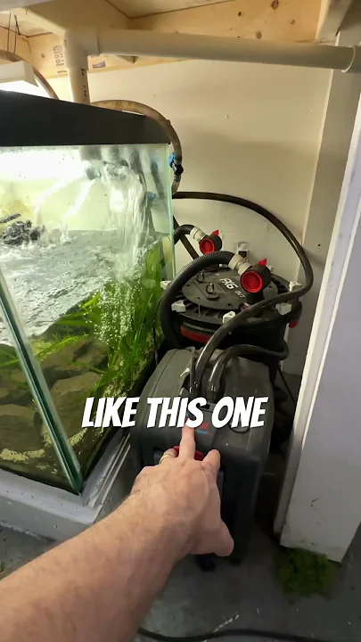 Stacked aquariums? Good or bad? #fishtank #aquarium Stacked aquariums? Good or bad? #fishtank #aquarium