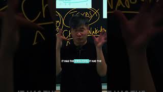 Who Will Win the Second American Civil War? - Prof. Jiang Xueqin