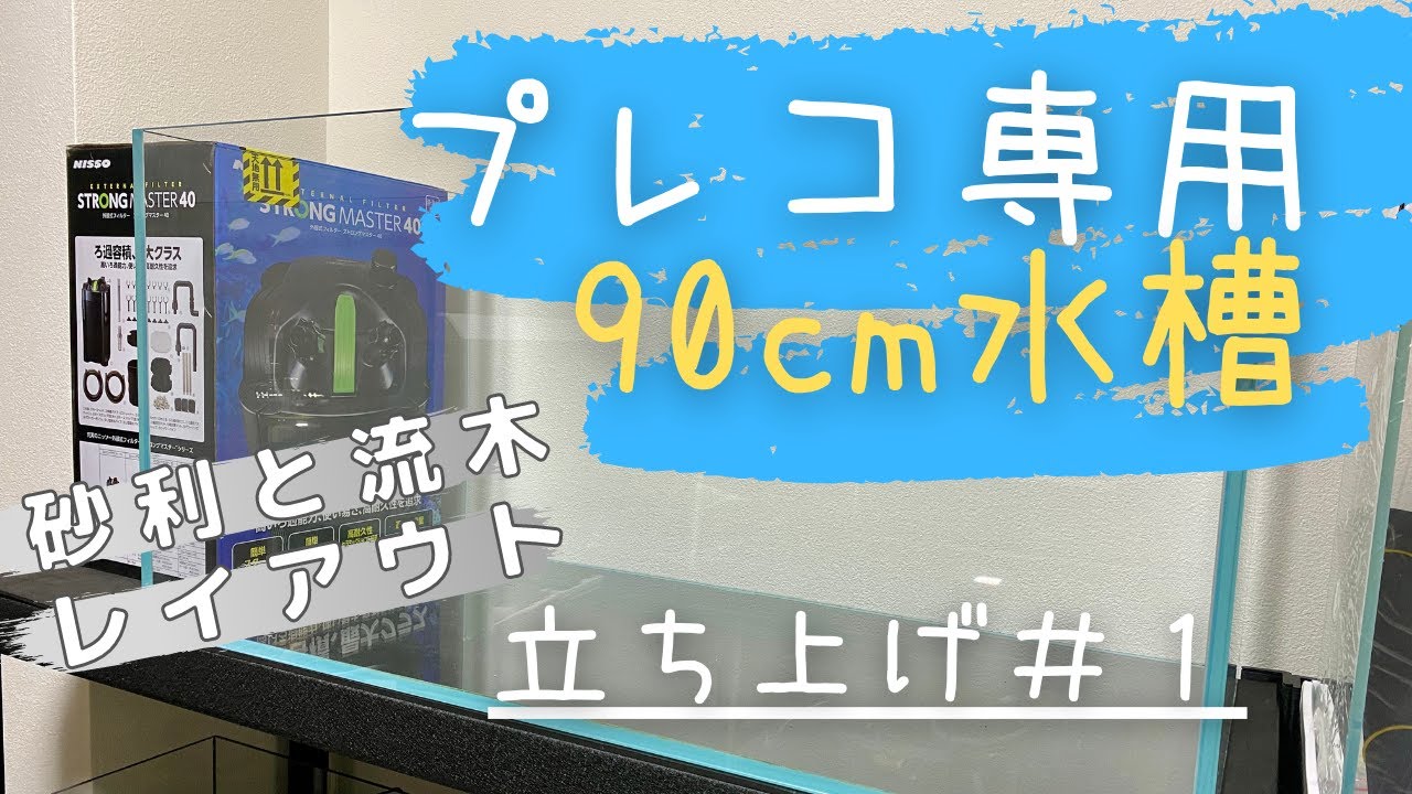 プレコ水槽】90cm水槽立ち上げ#1 流木レイアウト？ - YouTube