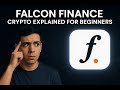 Falcon Finance (FF) Crypto Explained for Beginners