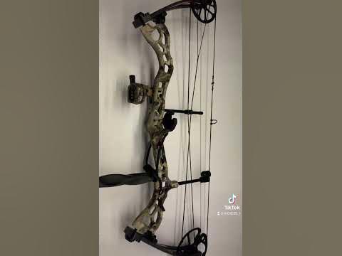 Bear Rant Compound Bow #shorts #archery #beararchery #fyp #fyptiktok #
