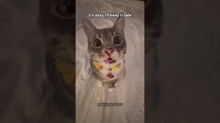 Send This To Someone Who Secretly Likes Femboys...