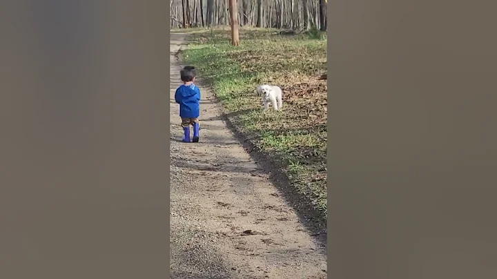 Sammy and Bentley at cabin