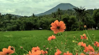 KAYAWU TOMOHON Utara Indahnya Alam