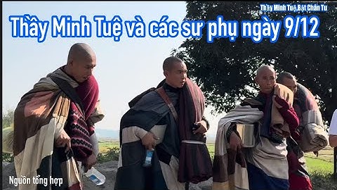 9/12 Hình ảnh đẹp của thầy Minh Tuệ và các sư phụ trong buổi trưa bộ hành về nơi an trú #thayminhtue