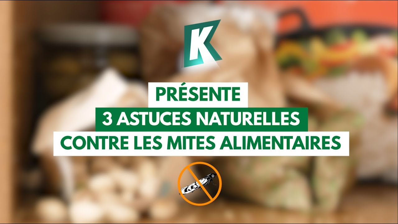 Piège Anti-Mites alimentaire