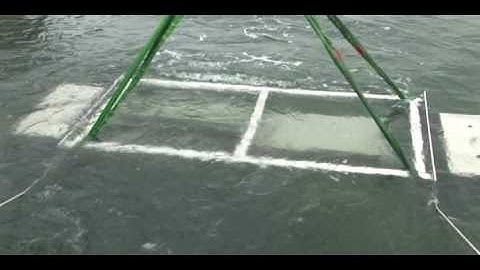 WHOI FlipWing demo video2.avi