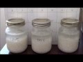 Day 7 Word Power Rice & Water Experiment