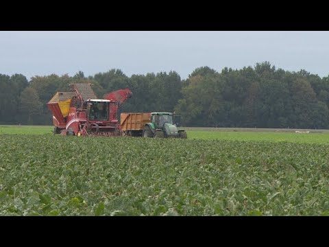 Video: Wat kunnen boeren doen om duurzame landbouw te realiseren?