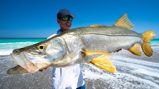 Florida's ILLEGAL Fish...Catch Clean Cook -Snook (Mullet Run)