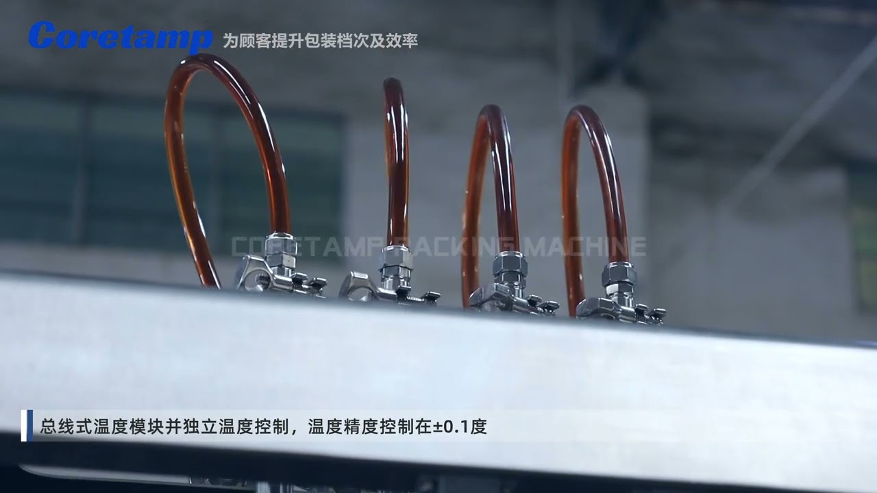 Small model fully automatic 4-lane liquid packaging machine for loquat juice LC320 model
